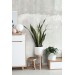 Concrete cement wallpaper mural Peel and stick removable or Traditional distressed texture grunge accent wall